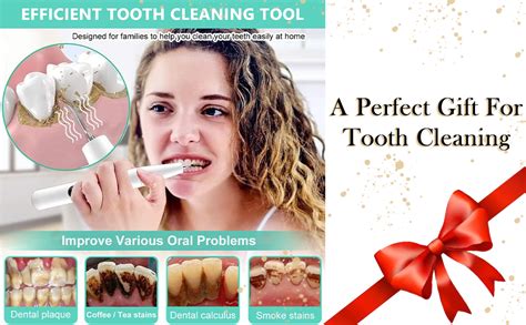 HANNEA® Ultrasonic Plaque Remover Electric Plaque Remover with 480P ...