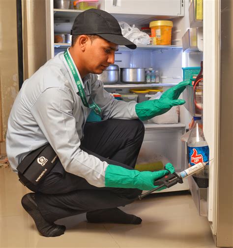 Household Pest Management Service HPMS in Mumbai