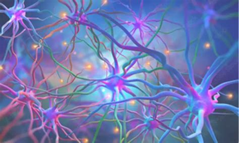 Scientists develop new methods to detect Huntington's disease progression