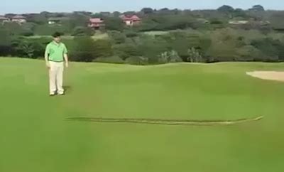Image result for Africa Python Golf Course