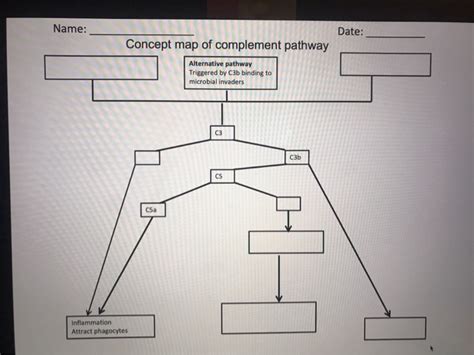 Image result for The Complement System Concept Map