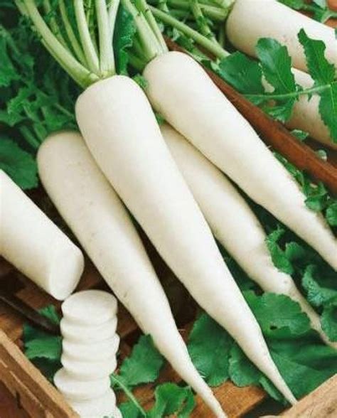 SUPARNA Organic Radish, ( Mulli, Mulla, Mullanki ) Seed Price in India ...