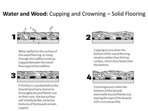 Image result for Injectidry System