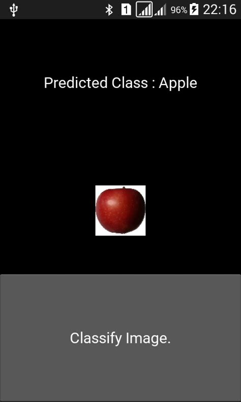 Image Classification Using Java in Android Studio 的图像结果