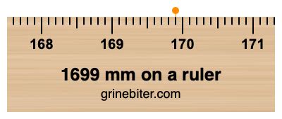 1699 mm on a ruler