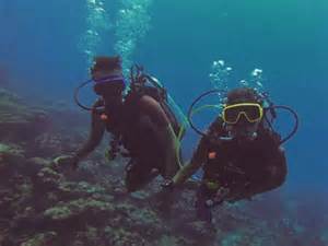 फाइटर पायलट पिता की IAS बेटी, मां IAF में डॉक्टर, पति IPS... 3 बार पास ...