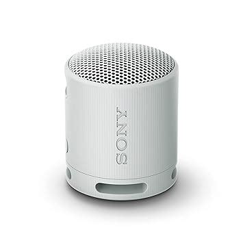 Sony SRS-XB100 Wireless Bluetooth Portable Lightweight Super-Compact ...