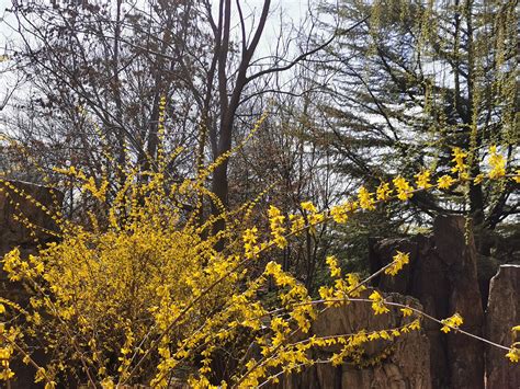 北京动物园：初春美景