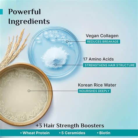 Korean Rice Water & Collagen Advanced Damage Repair Shampoo