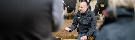 Corporate Governance Statement Example 的图像结果