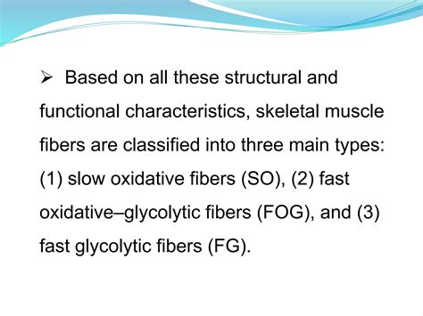 Types of Skeletal Muscle Fibers | PPTX
