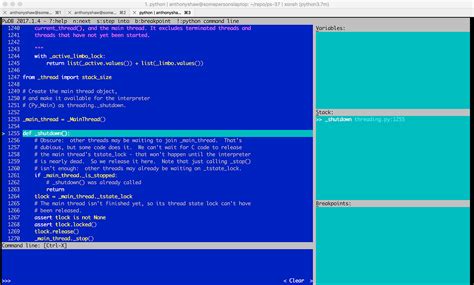 Breakpoint Python 的图像结果