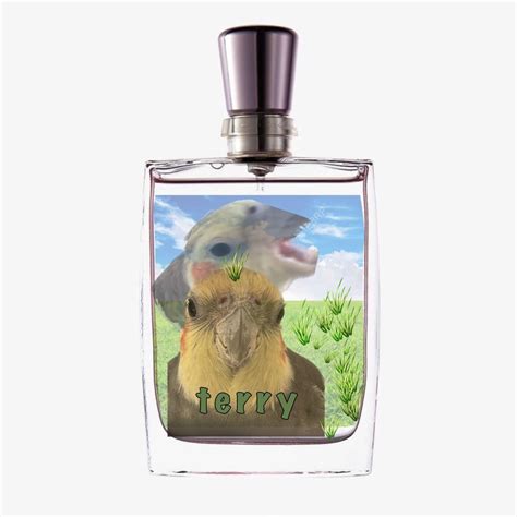 what do your birds smell like? : r/cockatiel