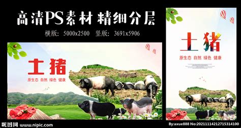 农家土猪招牌广告设计图__海报设计_广告设计_设计图库_昵图网nipic.com