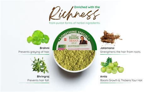 Buy Habibs Natural Henna Mehndi Powder Enriched with Bhringraj, Amla ...