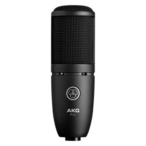 P120 | High-performance general purpose recording microphone
