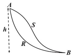 Two children Ramesh (on path ARB ) and Sohan (on path ASB ), travel ...