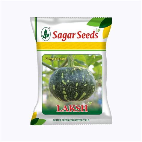 Buy Sagar Laksh F1 Hybrid Pumpkin Seeds — High Yield & Early Maturity ...