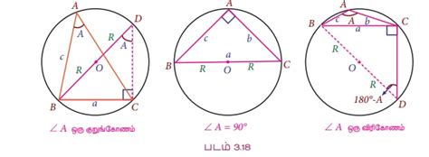 சைன் விதி அல்லது சைன் சூத்திரம் - வரையறை, சூத்திரம், தீர்க்கப்பட்ட ...