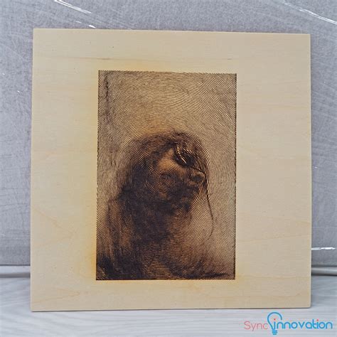 Snapmaker A250 的图像结果