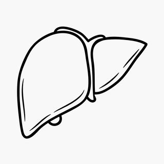 Skin Wellness – Deep Ayurveda India