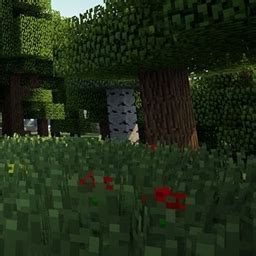 Image result for Fun Craft Minecraft Mod