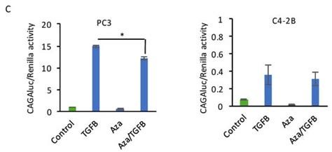 CRISPR-Mediated Reactivation of DKK3 Expression Attenuates TGF-β ...