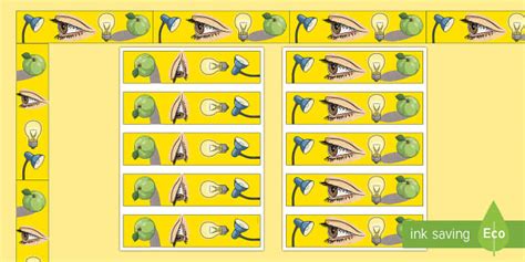 Light Shows Display Borders