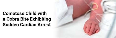 Comatose Child with a Cobra Bite Exhibiting Sudden Cardiac Arrest