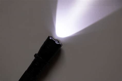 Image result for Flashlight Taser That Repels Dogs