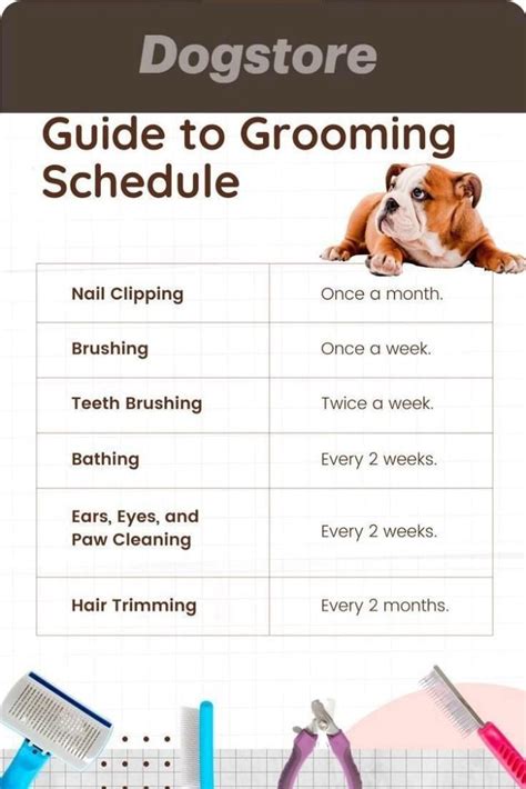men's grooming schedule