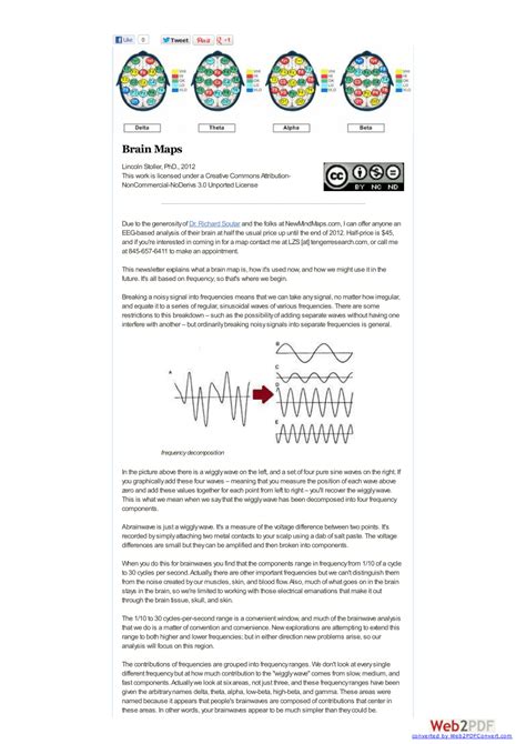 Brain Map Example 的图像结果
