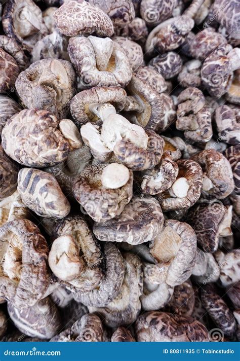 Dried shiitake mushrooms stock image. Image of healthy - 80811935