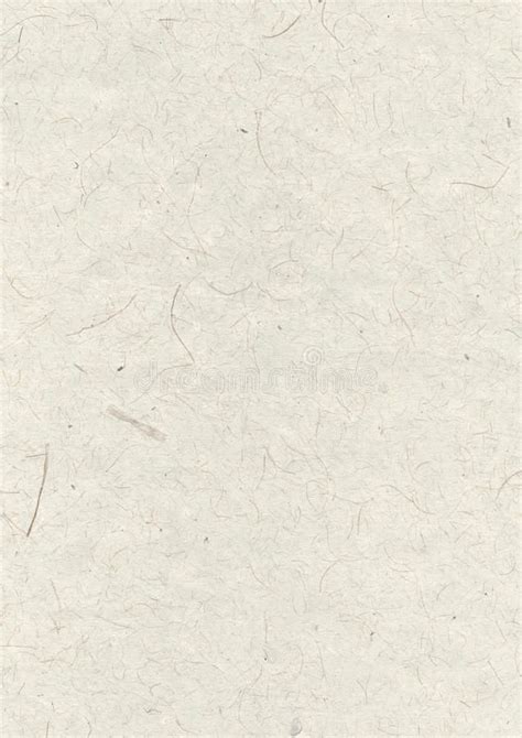 Nature Paper 的图像结果