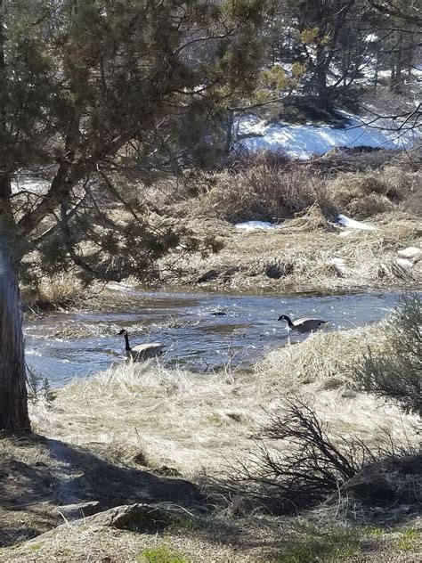 Cline Falls [CLOSED] - Oregon | AllTrails