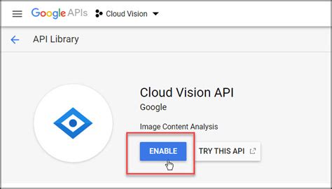 Image result for Using Google Cloud Vision APIs