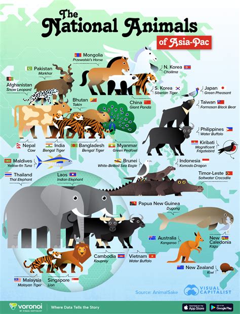 Mapped: The National Animals of the Asia-Pacific