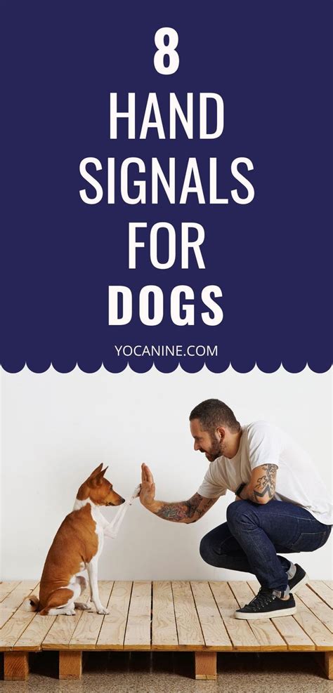 Image result for Service Dog Hand Signals