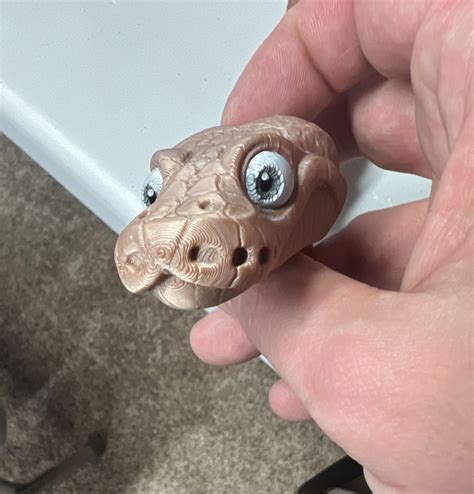 Image result for Snake Articulated Python