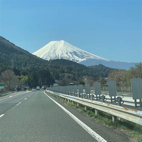 ALI (2025) All You Need to Know BEFORE You Go (with Photos) - Tripadvisor