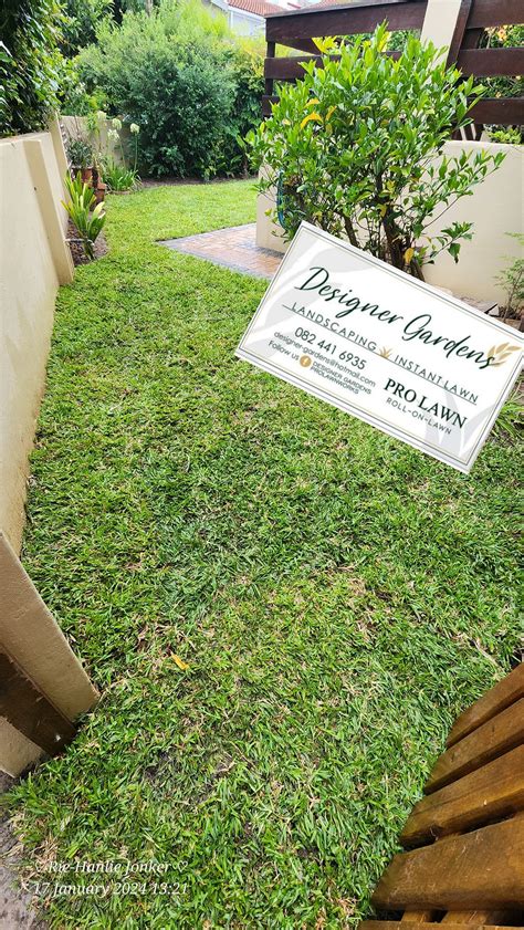 Pro Lawn - LM Berea planted (Heather Park) (George) Pro...