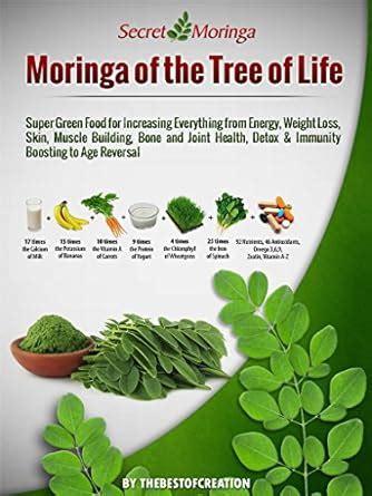 Moringa of the Tree of Life: Super Green Food for Increasing Everything ...