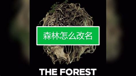 睿课堂 | 英国人都赞不绝口的文章如何写（三）对森林的描写 - 知乎