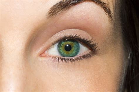 Beautiful Eyes Color, Pretty Eyes, Cool Eyes, Amazing Eyes, Eye Pictures, Girl Pictures, Irises ...