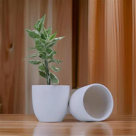 Ceramic Pots Online in India | Flipkart | 07-Jan-26