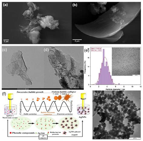 Silver-Based Surface Plasmon Sensors: Fabrication and Applications