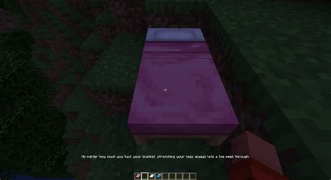 Image result for Minecraft Mod Insomnia