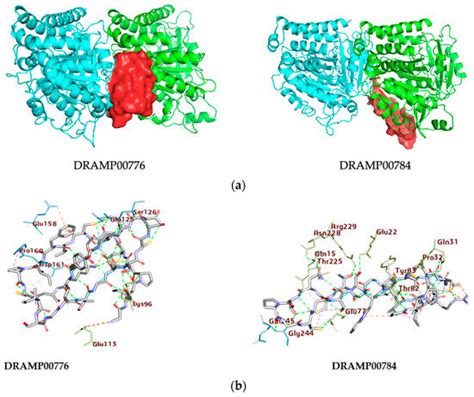 A Molecular Docking Study Reveals That Short Peptides Induce ...