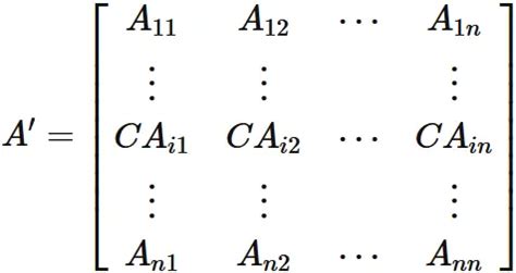 Determinant in C Programming 的图像结果