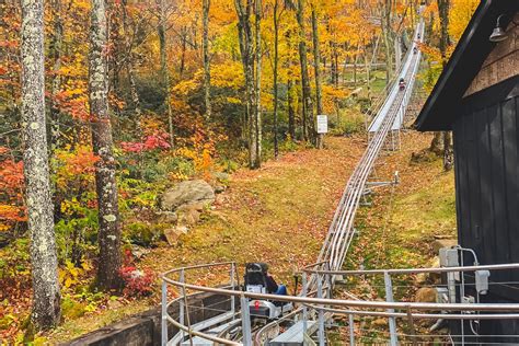 Wilderness Run Alpine Coaster: Ride Through the Mountains of North ...
